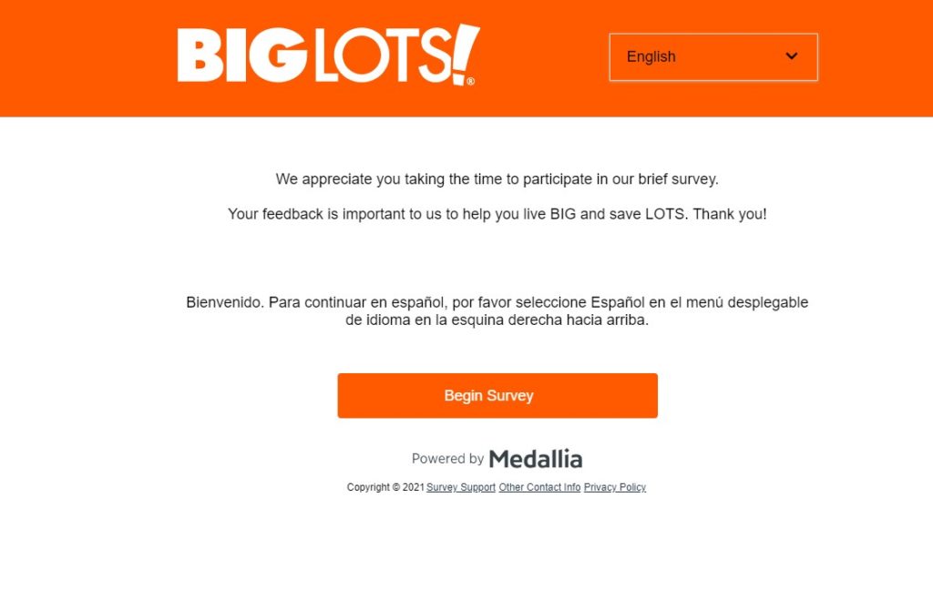 Big Lots Survey